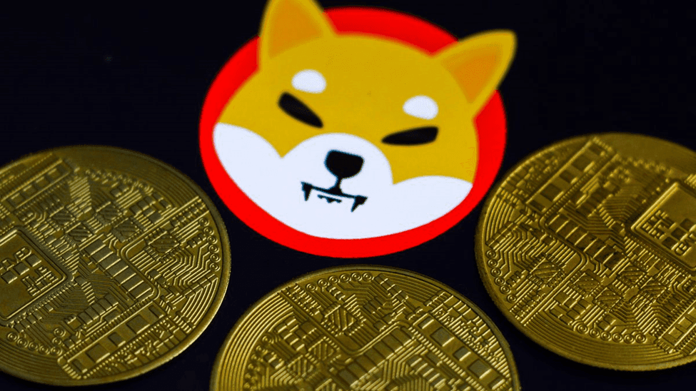 10 Things You Should Know Before Buying SHIBA INU